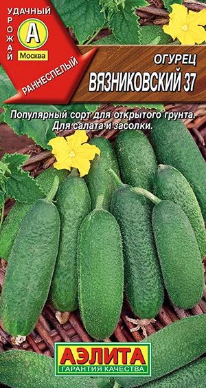 Огурец Вязниковский 37