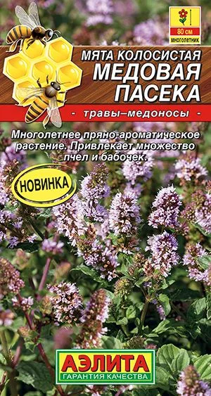 Пряные травы Мята колосистая Медовая пасека