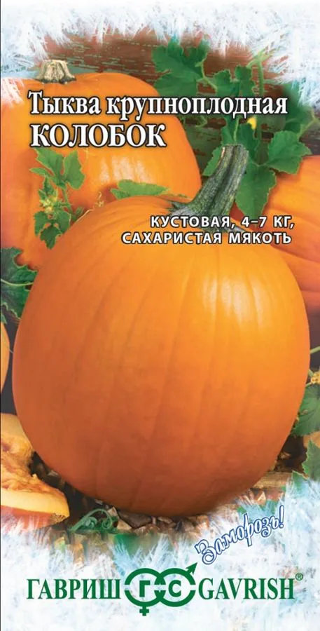 Тыква Колобок