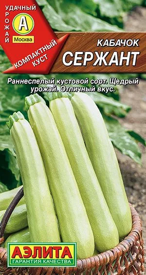 Кабачок цуккини Сержант