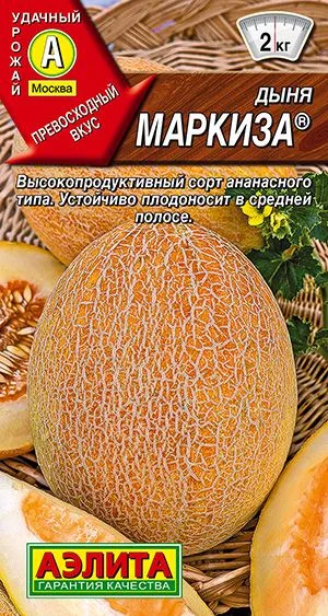 Дыня Маркиза ®