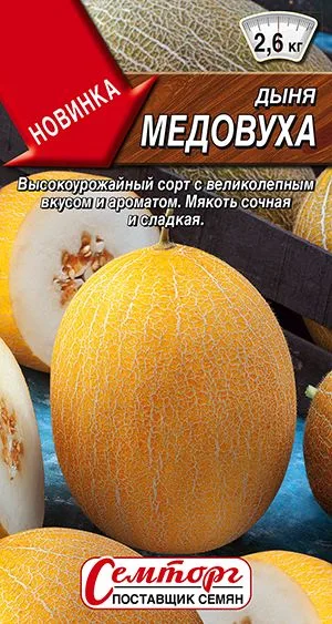 Дыня Медовуха