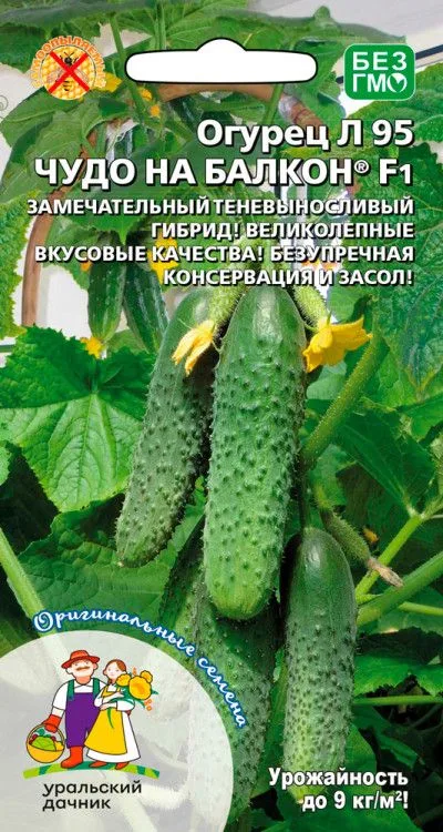 Огурец Чудо на балкон Л 95 F1