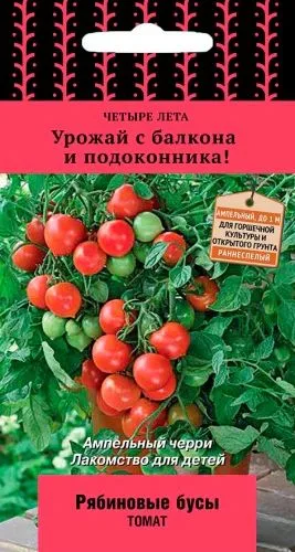 Томат Рябиновые бусы