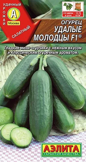 Огурец Удалые молодцы F1 ®