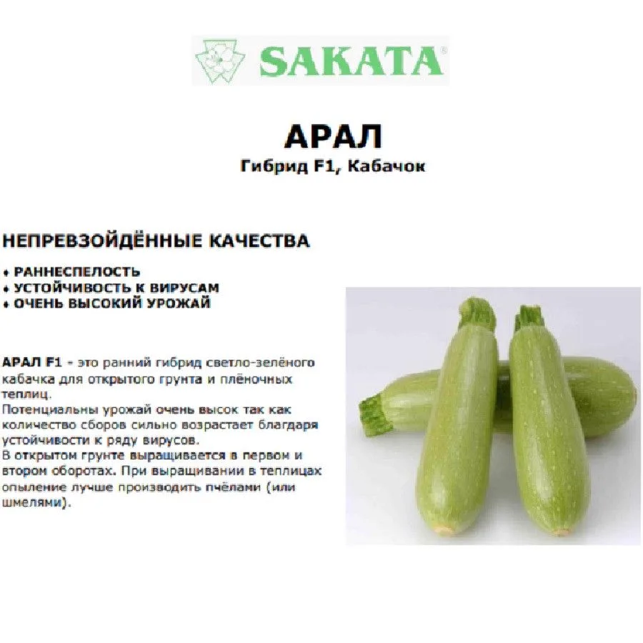 Кабачок Арал F1