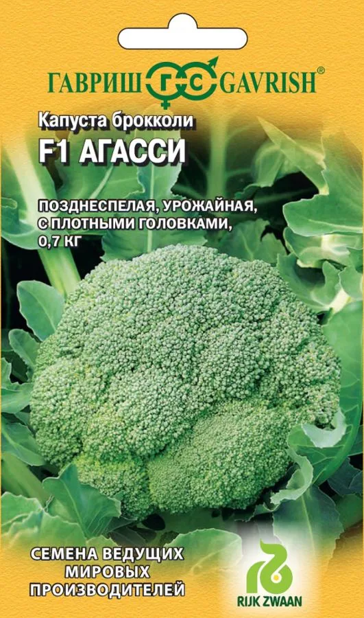 Капуста брокколи Агасси F1