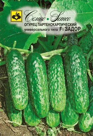 Огурец Задор F1