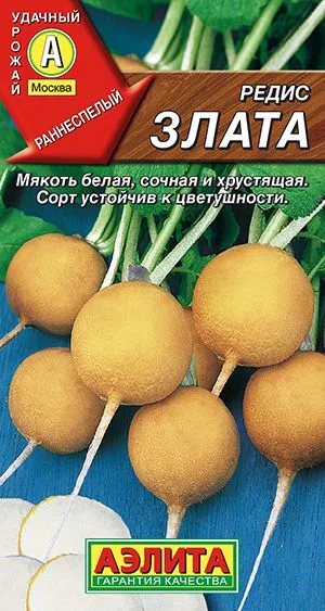 Редис Злата