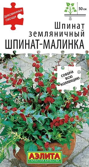 Салат Шпинат земляничный Шпинат-малинка
