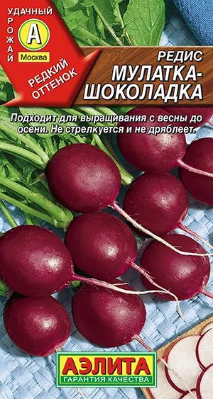 Редис Мулатка-шоколадка
