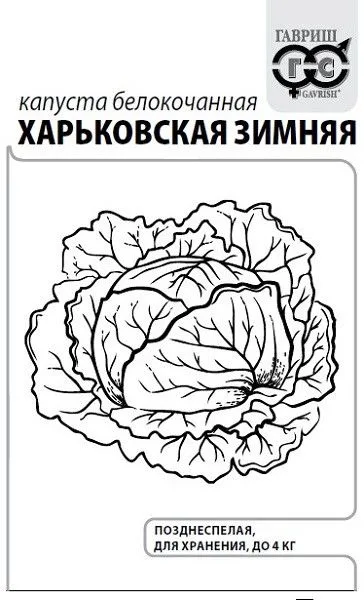 Капуста белокочанная Харьковская зимняя