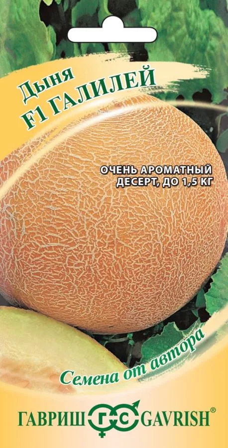 Дыня Галилей F1