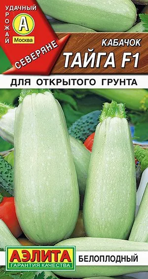 Кабачок белоплодный Тайга F1