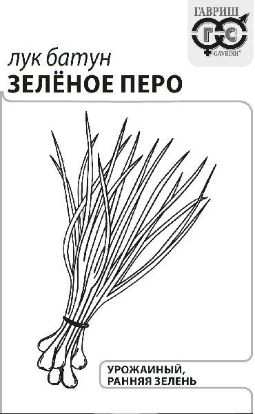 Лук батун Зеленое перо