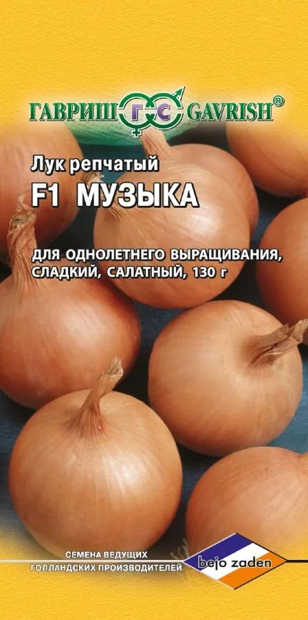 Лук репчатый Музыка F1