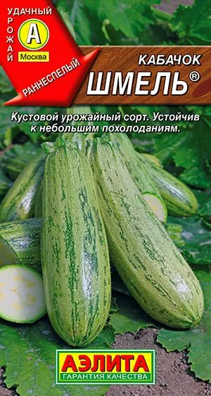 Кабачок цуккини Шмель ®