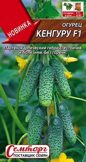 Семена: Огурец Кенгуру F1