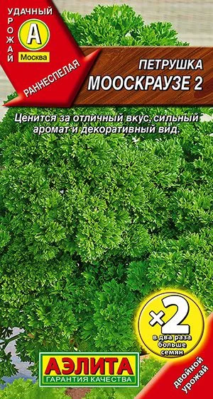 Петрушка кудрявая Мооскраузе 2