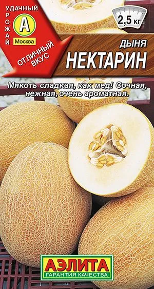Дыня Нектарин