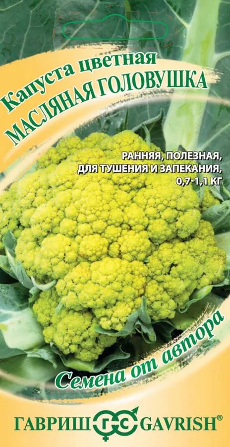 Капуста цветная Масляная головушка