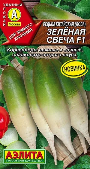 Редька китайская Зелёная свеча F1