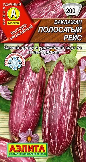 Баклажан Полосатый рейс
