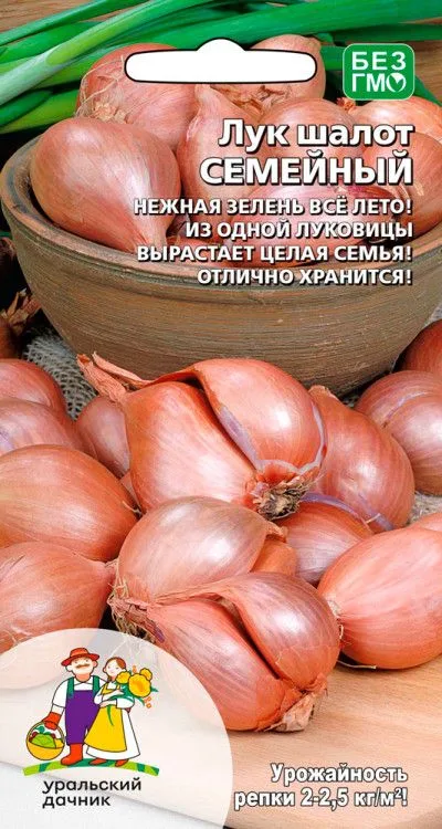 Лук шалот Семейный