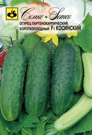 Огурец Косинский F1