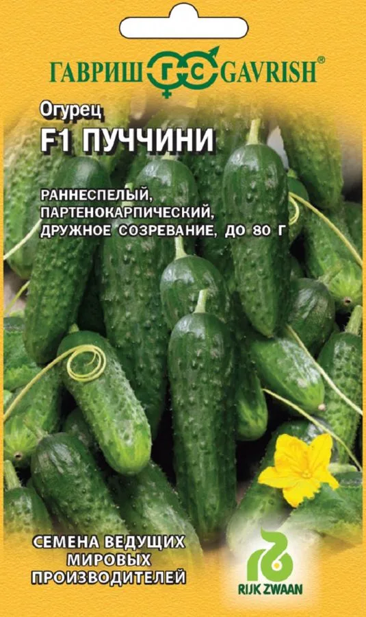 Огурец Пуччини F1