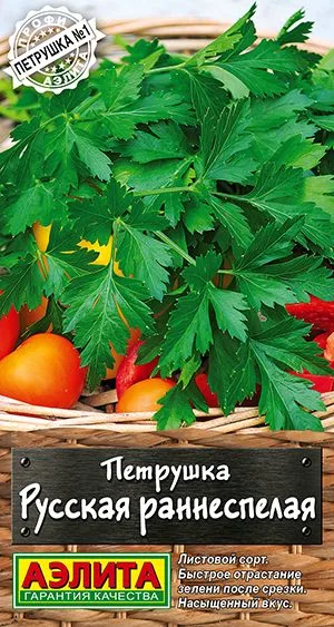Петрушка листовая Русская раннеспелая