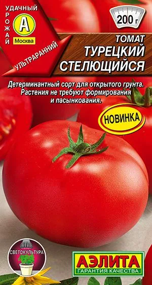 Томат Турецкий стелющийся