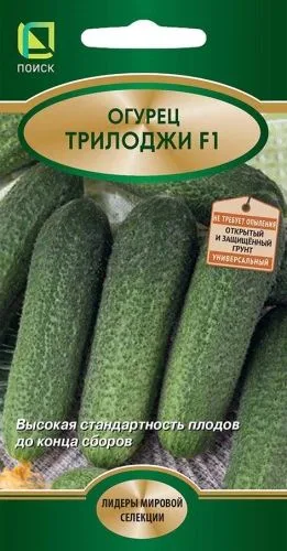 Огурец Трилоджи F1