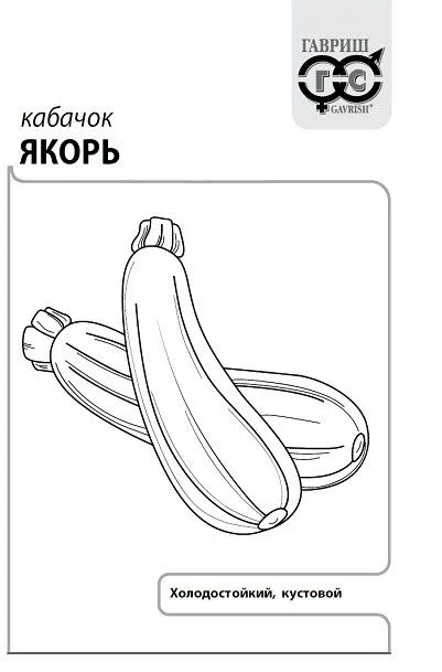 Кабачок Якорь