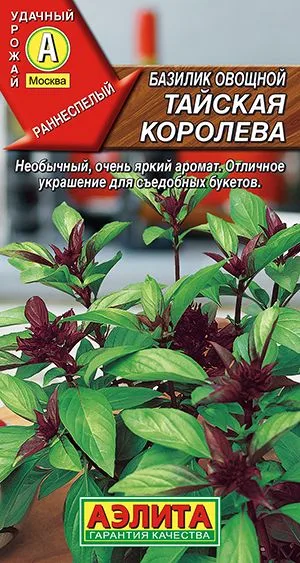 Базилик овощной Тайская королева