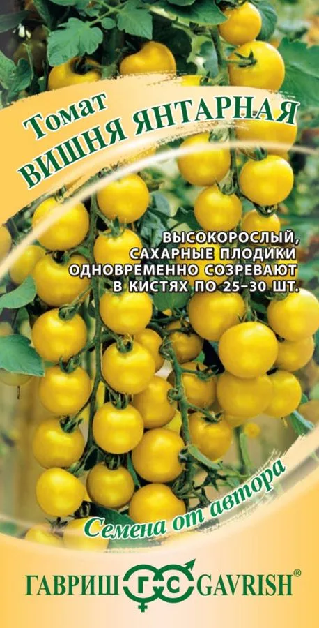 Томат черри Вишня янтарная