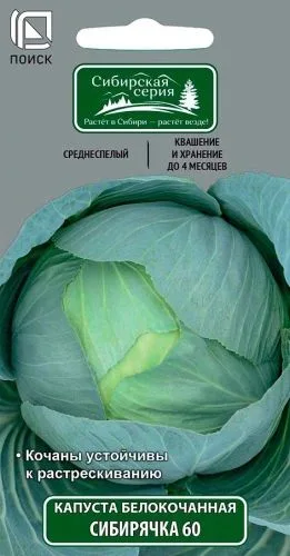Капуста белокочанная Сибирячка 60