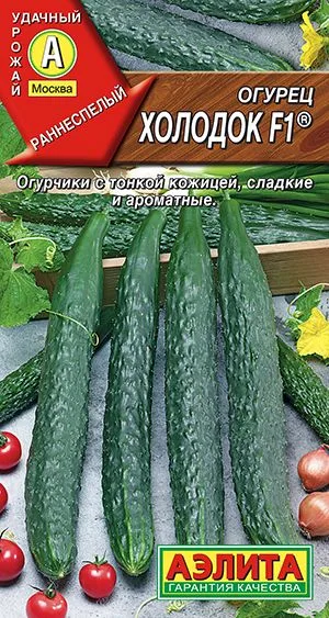 Огурец китайский Холодок F1 ®