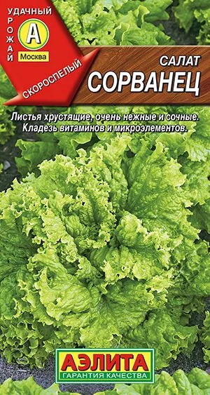 Салат Сорванец листовой