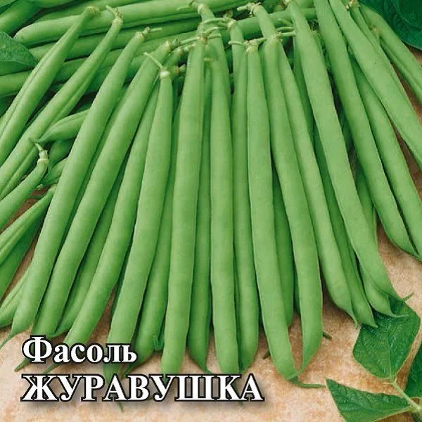 Фасоль спаржевая Журавушка