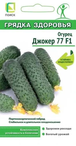 Огурец Джокер 77 F1