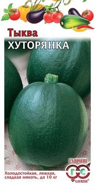 Тыква Хуторянка