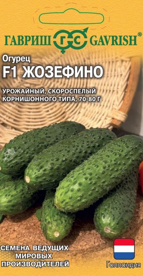 Семена: Огурец Жозефино F1