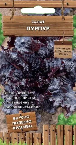 Салат Пурпур