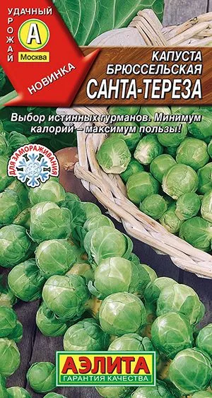 Капуста брюссельская Санта-Тереза