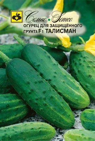 Огурец Талисман F1