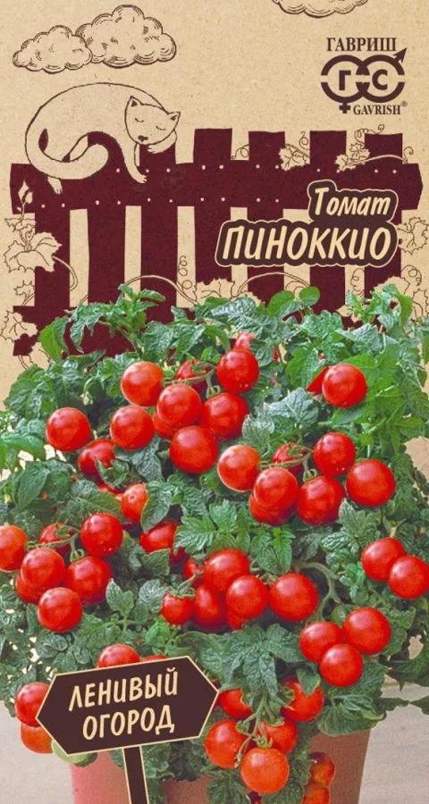 Томат Пиноккио