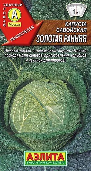Капуста савойская Золотая ранняя