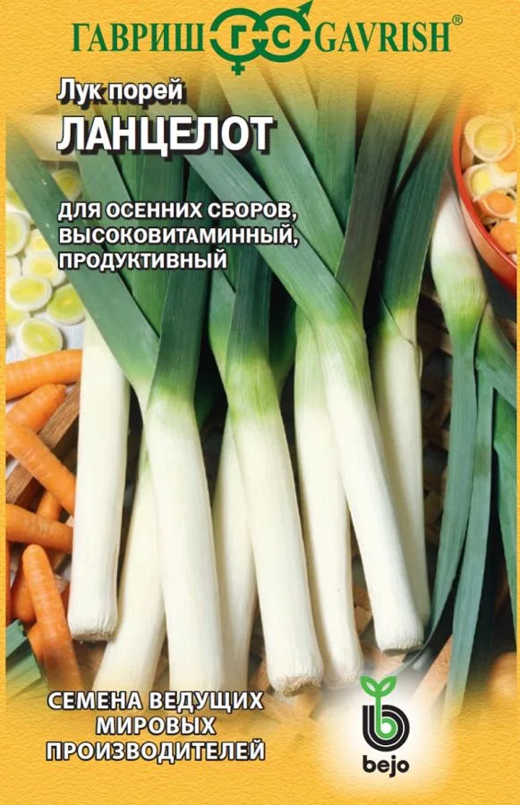 Лук порей Ланцелот