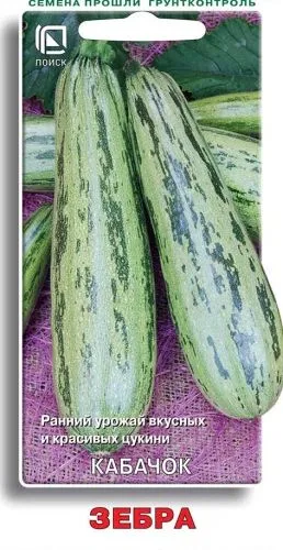 Кабачок Зебра